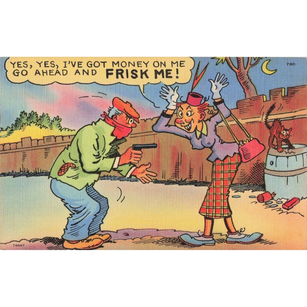 Vintage Tichnor Bros Humorous Comic Linen Postcard Frisk Me Cartoon 780 78967 - Picture 1 of 2